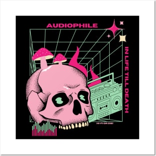 Audiophile till I die Posters and Art